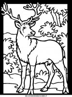 disegni_animali/bosco/color-deer1.JPG