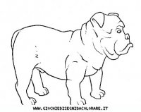 disegni_animali/cane/cane_c0006.JPG