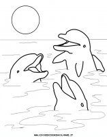 disegni_animali/delfino/delfino_delfini_16.JPG