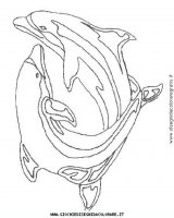 disegni_animali/delfino/delfino_delfini_29.JPG