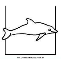disegni_animali/delfino/delfino_delfini_32.JPG