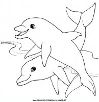 disegni_animali/delfino/delfino_delfini_35.JPG