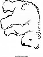 disegni_animali/orso/orsi_16.JPG