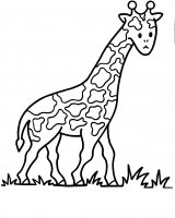 disegni_persone_mestieri/disegni_per_bambini_3_4_anni/giraffa.jpg