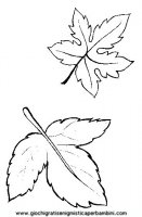 disegni_quattro_stagioni/autunno/autunno_x79.JPG