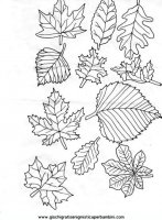 disegni_quattro_stagioni/autunno/autunno_x86.JPG