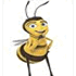 disegni bee movie